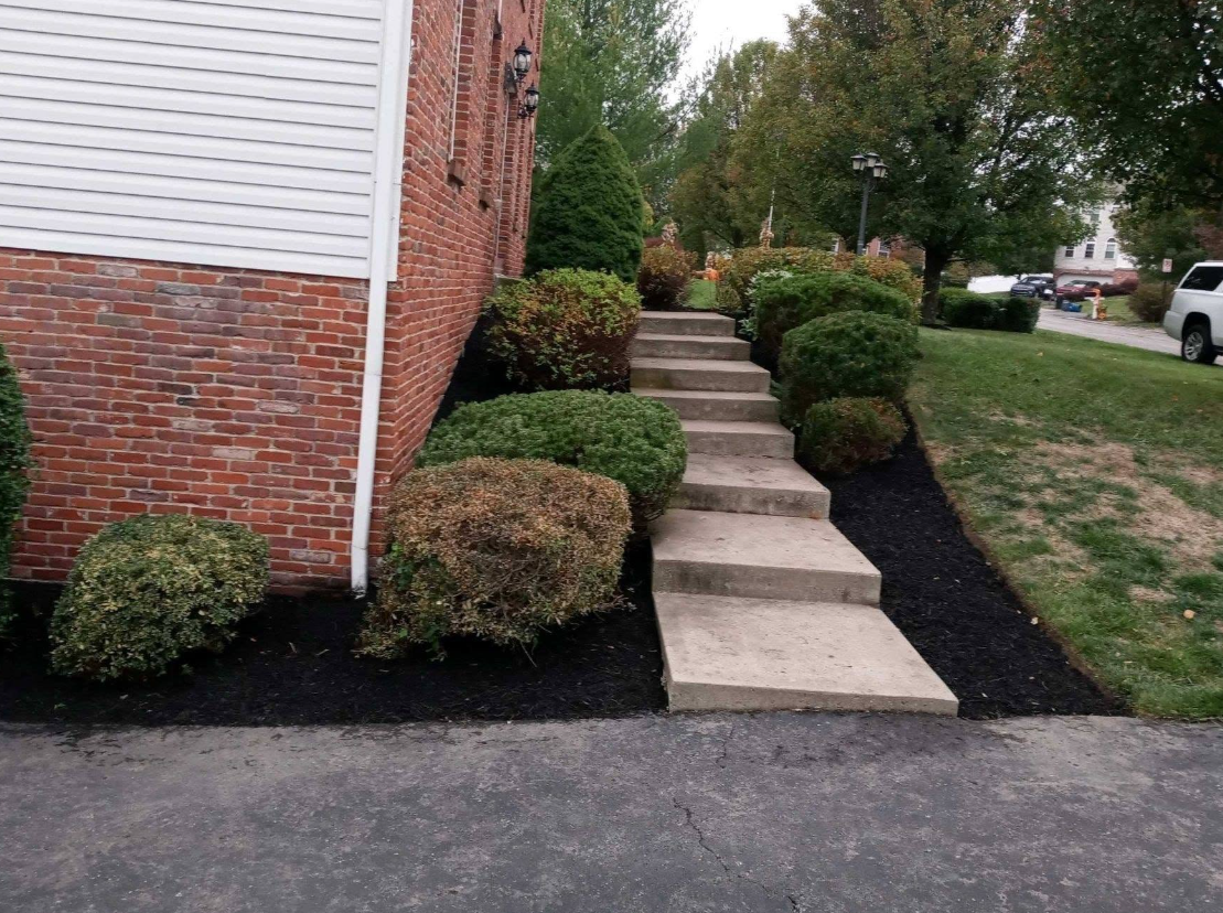 Neatly trimmed shrubs and fresh mulch along a front walkway