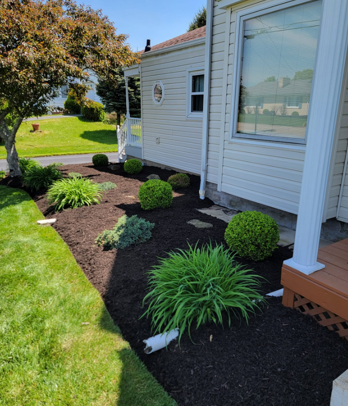 Fresh landscape bed beside a residential lawn