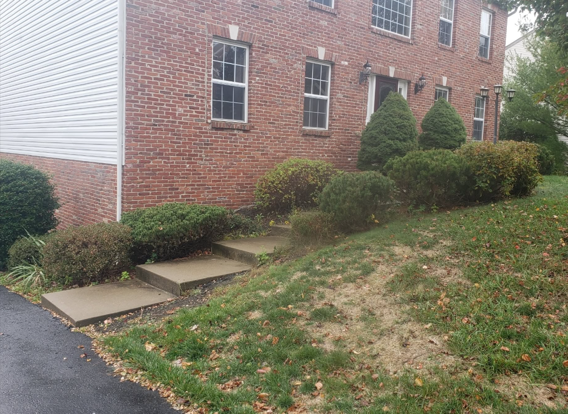 Before landscaping: overgrown beds and shrubs